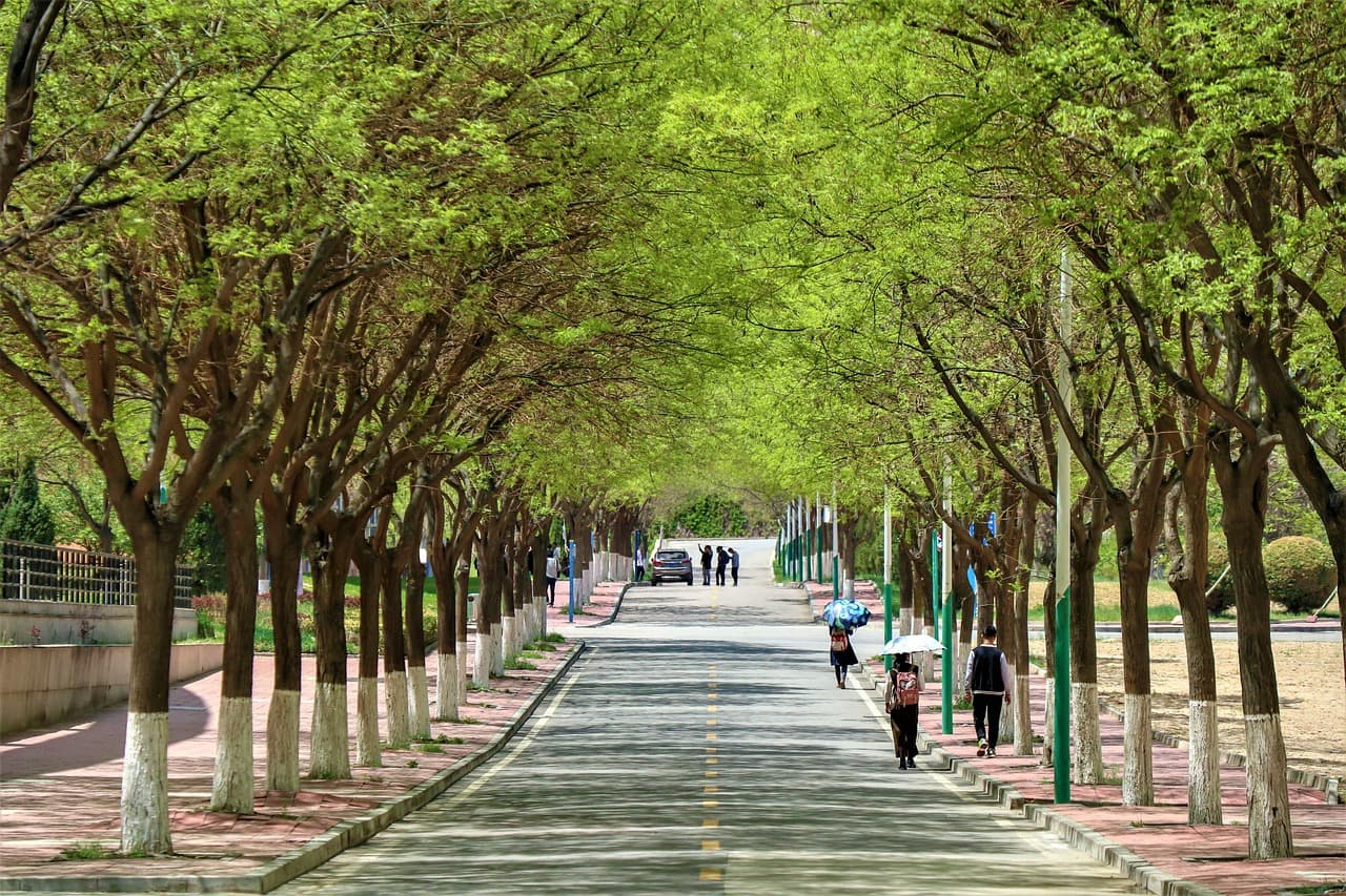 PPBC Campus